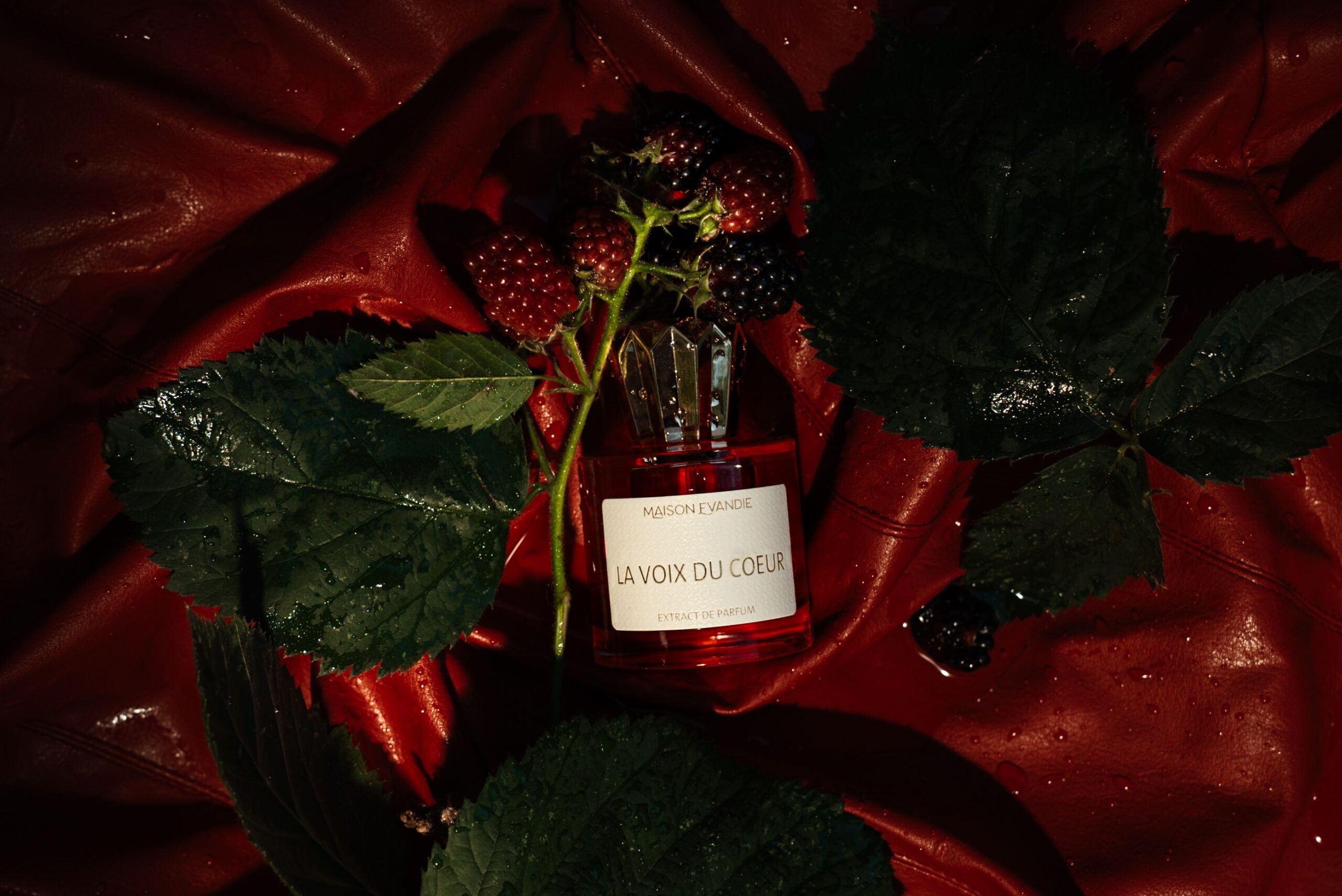 عطر ادکلن لا ووا دو کر میسون اواندی - La Voix du Coeur Maison Evandie - بررسی، قیمت و خرید