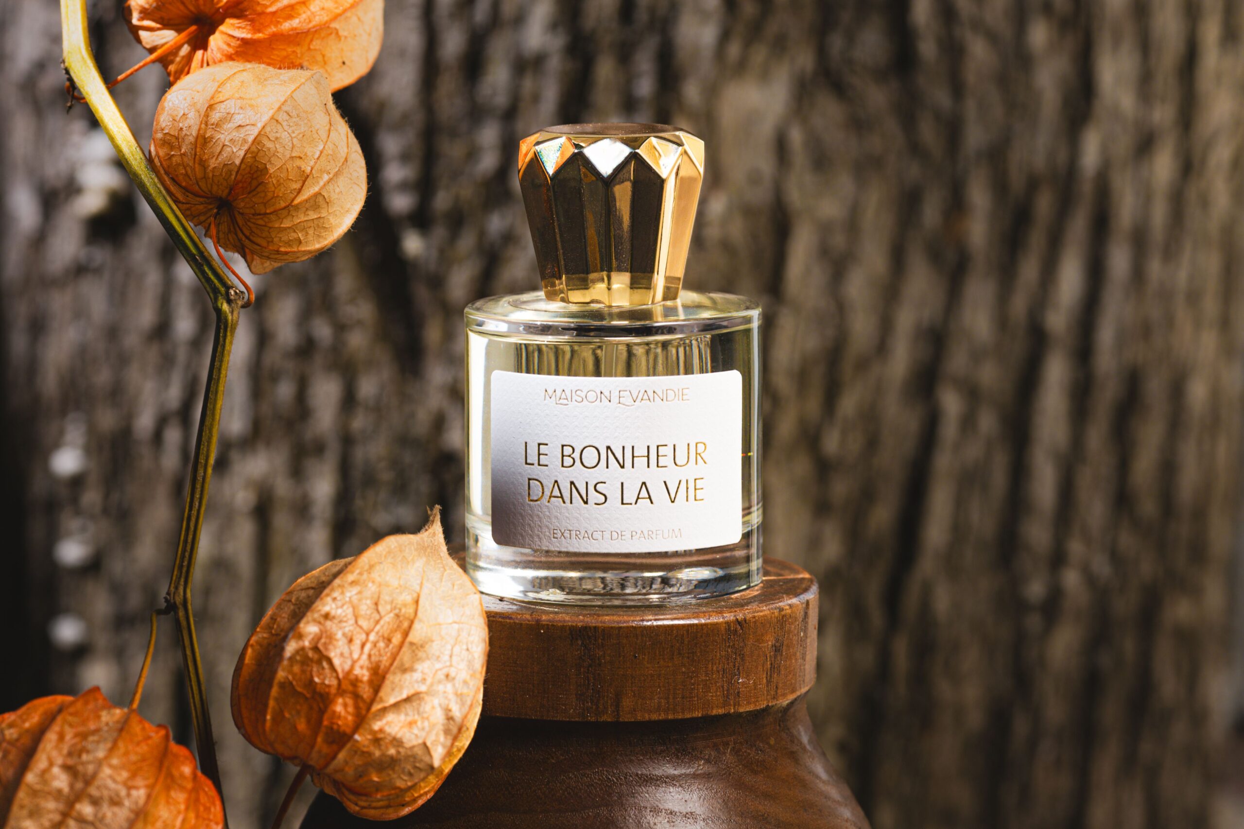عطر ادکلن ل بونور دان لا وی میسون اواندی - Le Bonheur Dans La Vie Maison Evandie - بررسی، قیمت و خرید