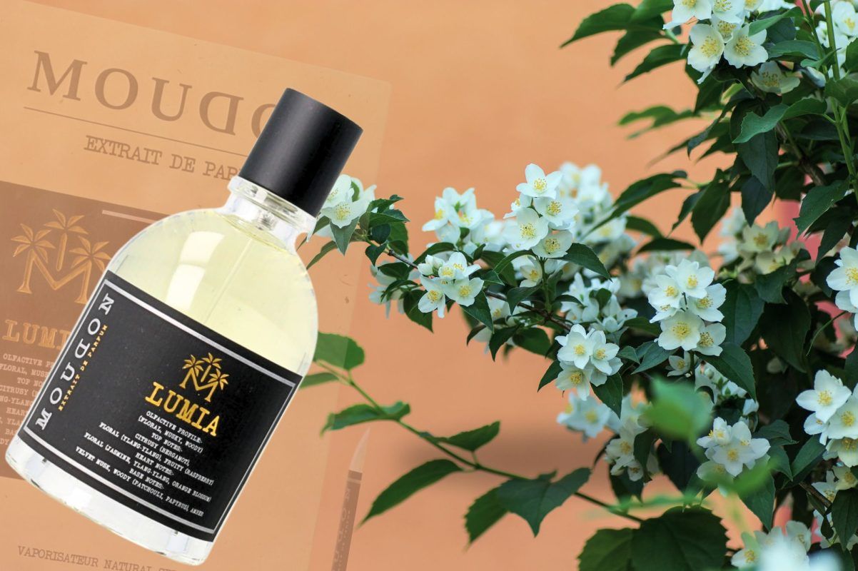 عطر ادکلن لومیا مودون - Lumia Moudon - بررسی، قیمت و خرید