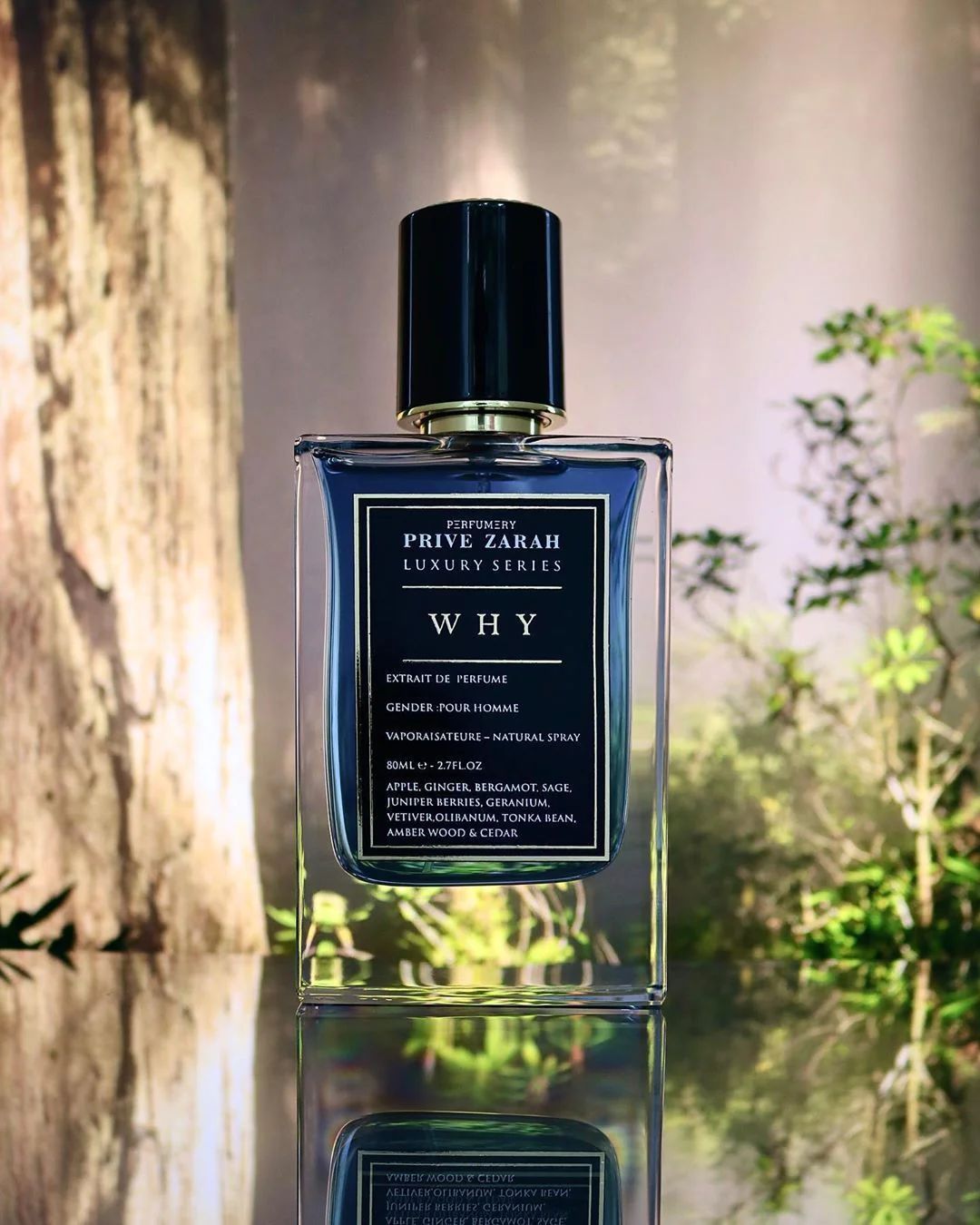 عطر ادکلن وای پریوزراه - Why Privezarah - بررسی، قیمت و خرید