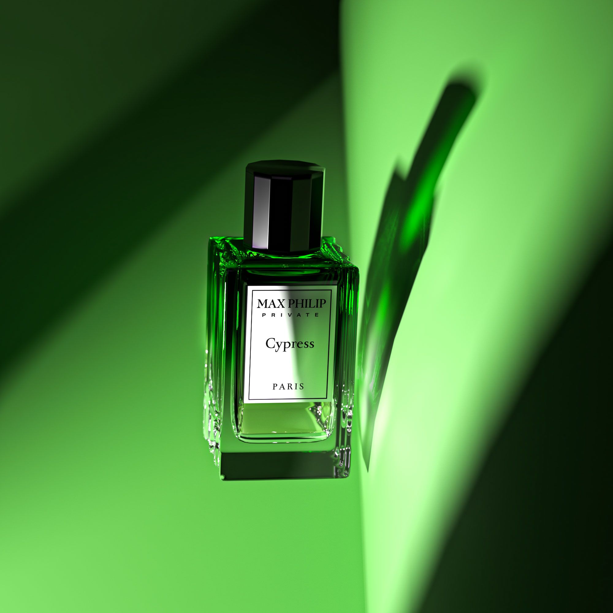 عطر ادکلن سایپرس مکس فیلیپ - Cypress Max Philip - بررسی، قیمت و خرید