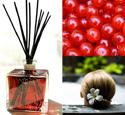 عطر ادکلن آسای رین اینفیوژن ارگانیک - Acai Rain Infusion Organique - بررسی، قیمت و خرید