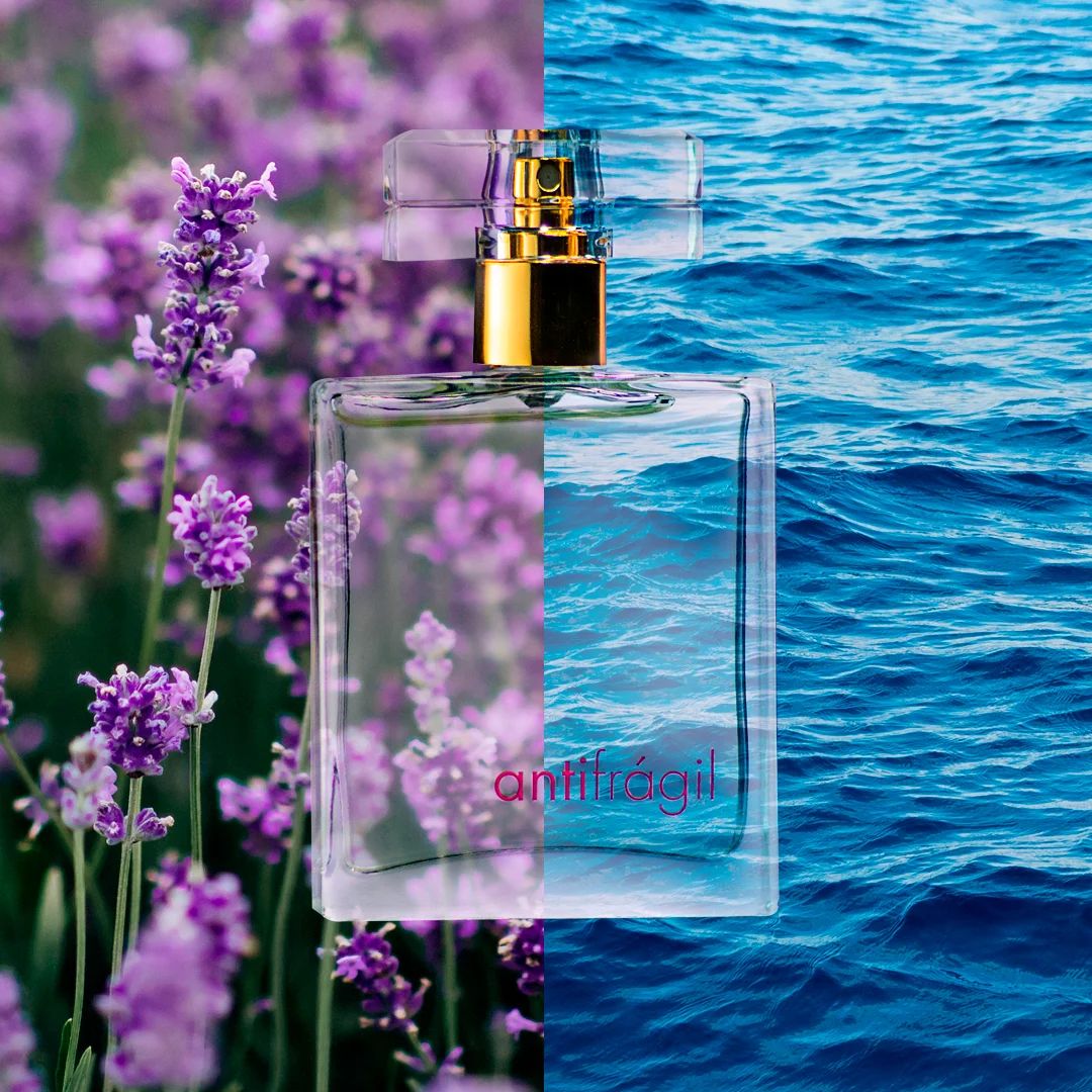 عطر ادکلن آنتی‌فرجیل پور هوم پریمیشال - Antifrágil Pour Homme Primacial - بررسی، قیمت و خرید