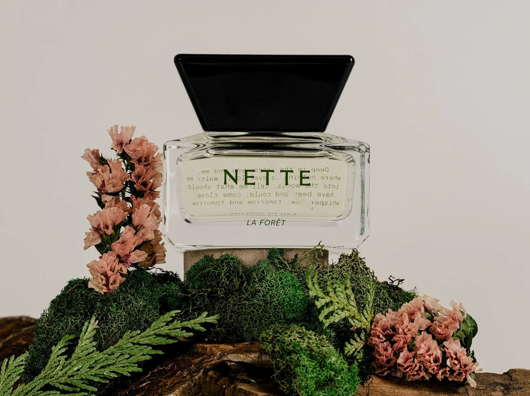 عطر ادکلن لافوره نته - La Forêt Nette - بررسی، قیمت و خرید