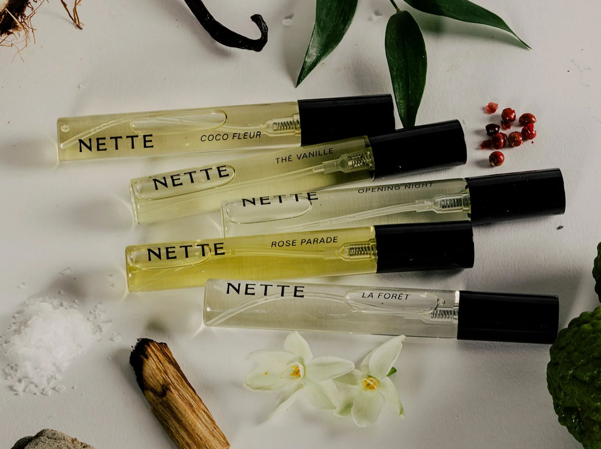 عطر ادکلن لافوره نته - La Forêt Nette - بررسی، قیمت و خرید