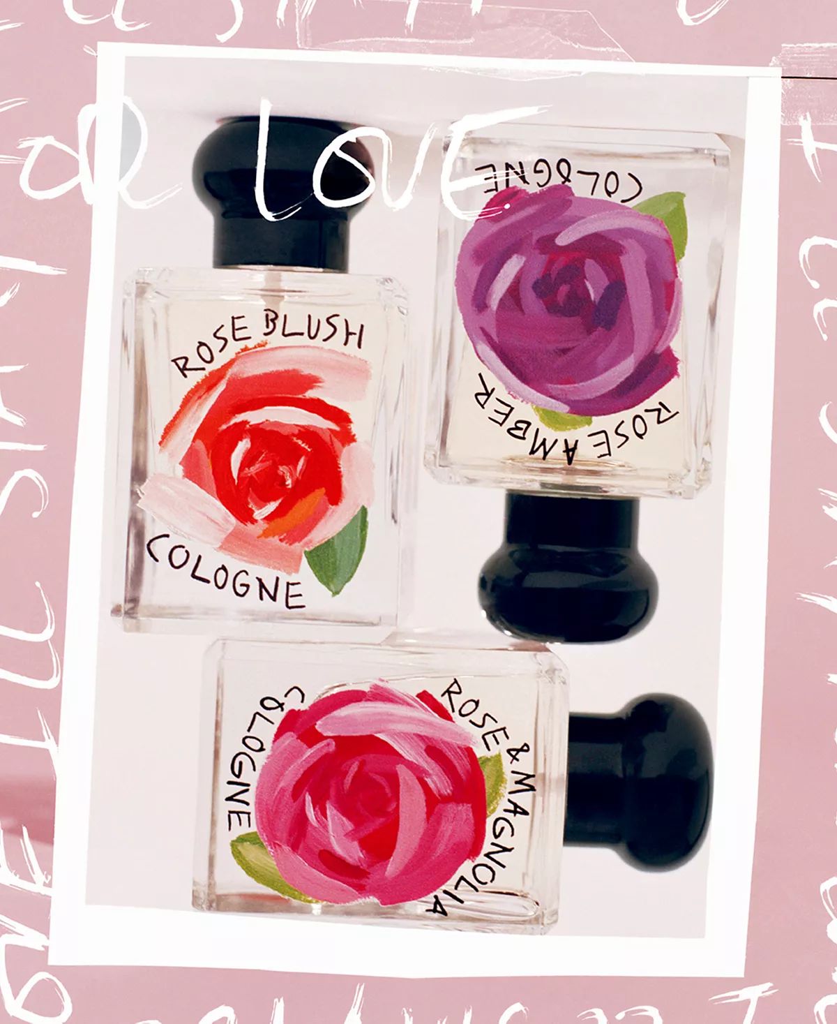 عطر ادکلن رز امبر کلن ۲۰۲۴ جو مالون لندن - Rose Amber Cologne 2024 Jo Malone London - بررسی، قیمت و خرید