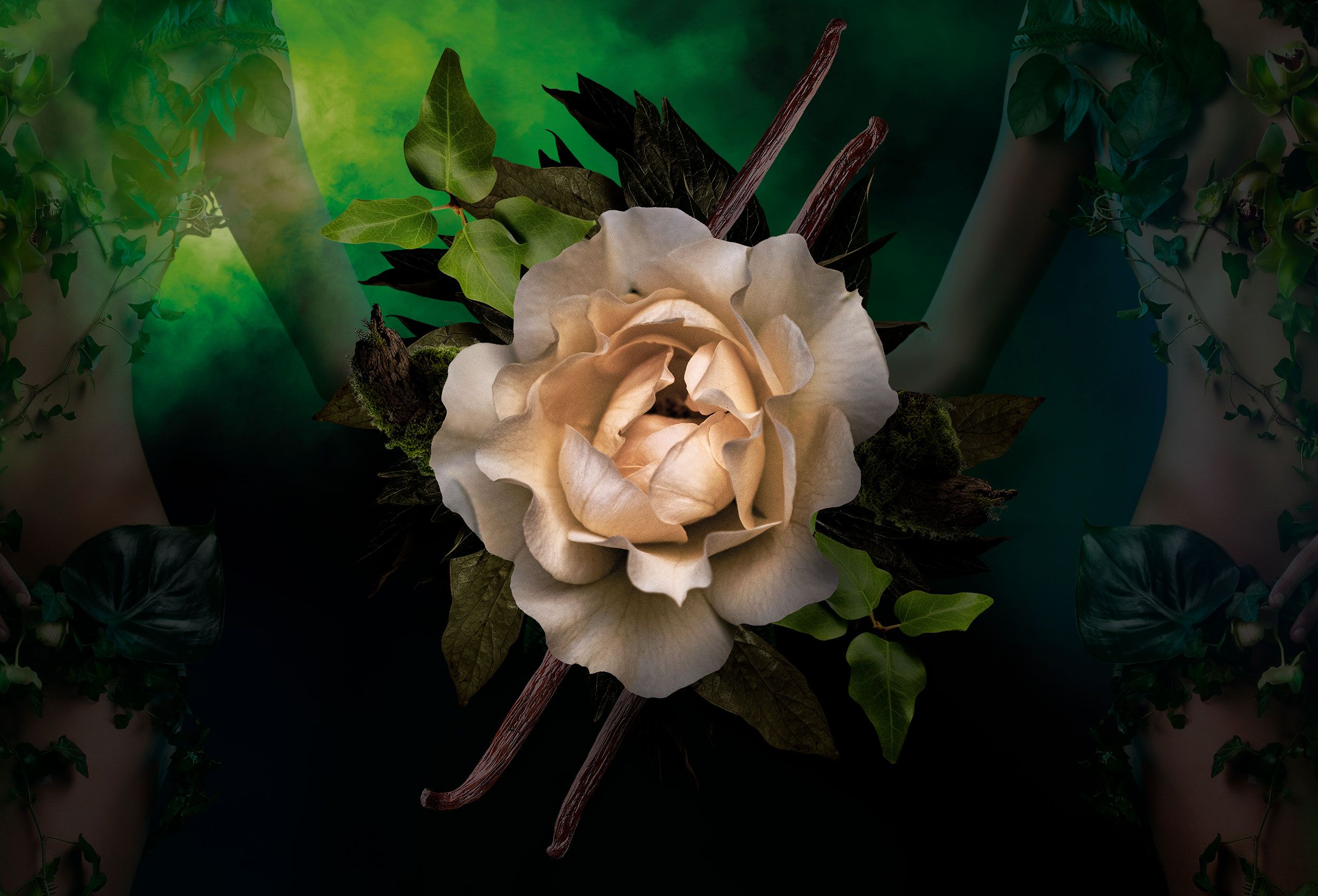 عطر ادکلن ارکیداوی بیست و یک و یک پیِر گیوم پاریس - Orchidivy 21.1 Pierre Guillaume Paris - بررسی، قیمت و خرید