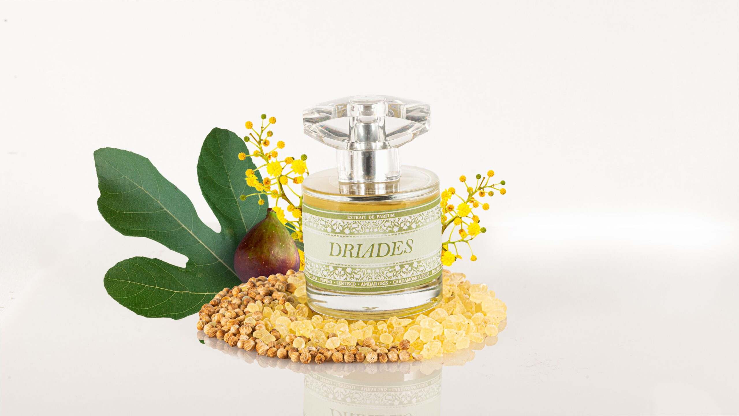 عطر ادکلن دریادس مایس پائو - Driades Maese Pau - بررسی، قیمت و خرید