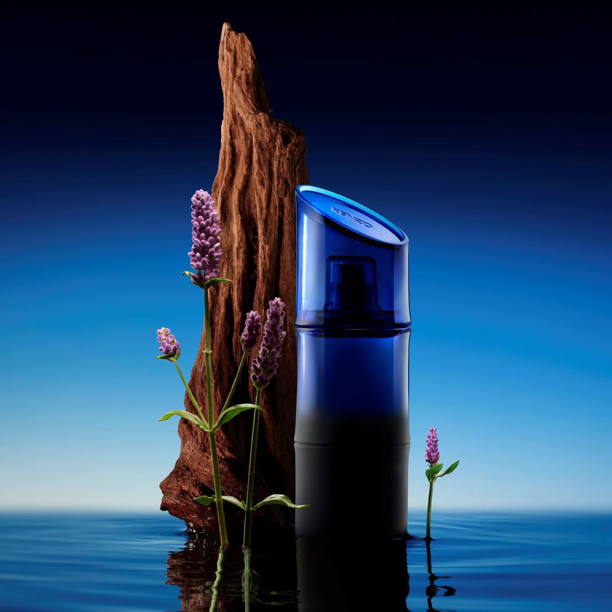 عطر ادکلن کنزو اومه سانتال مارین کنزو - Kenzo Homme Santal Marin Kenzo - بررسی، قیمت و خرید