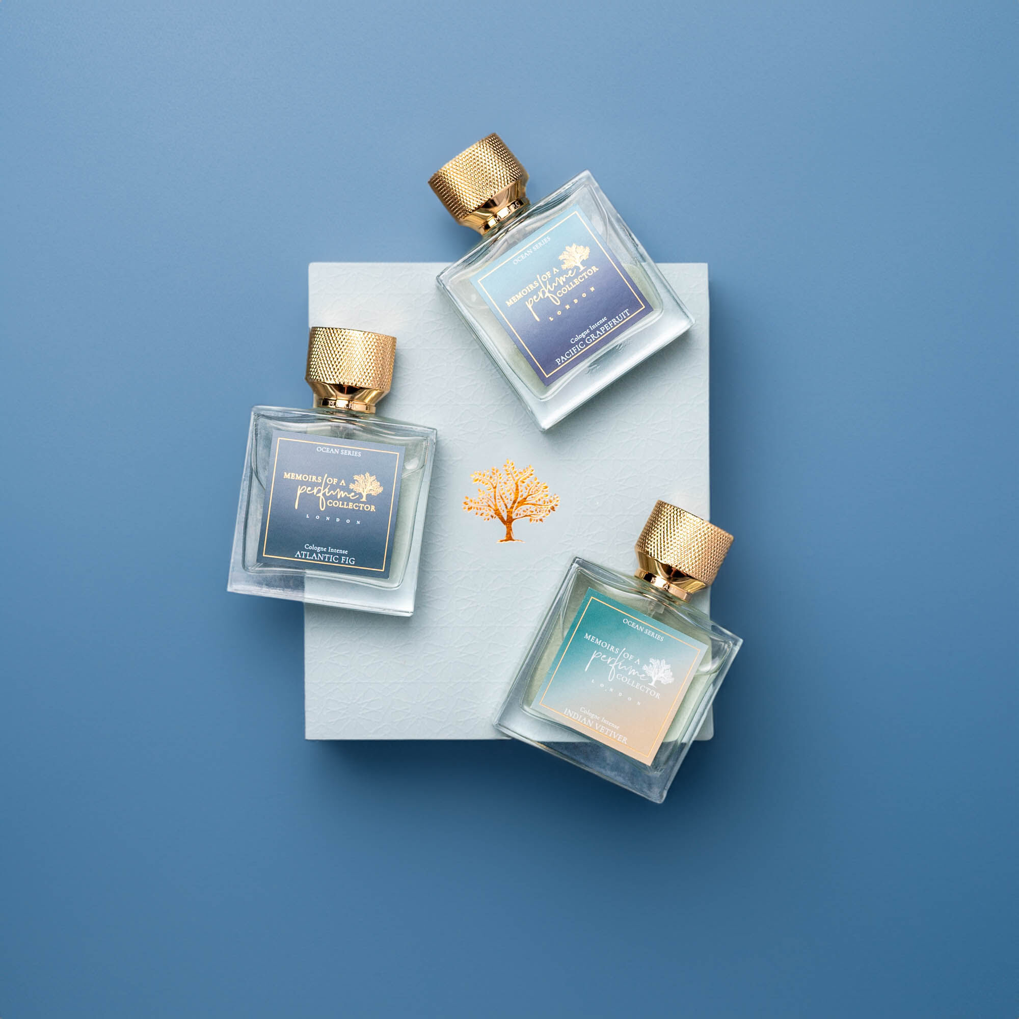 عطر ادکلن پسیفیک گریپ فروت مِموآرز آو اِ پِرفیوم کِلِکتور - Pacific Grapefruit Memoirs Of A Perfume Collector - بررسی، قیمت و خرید