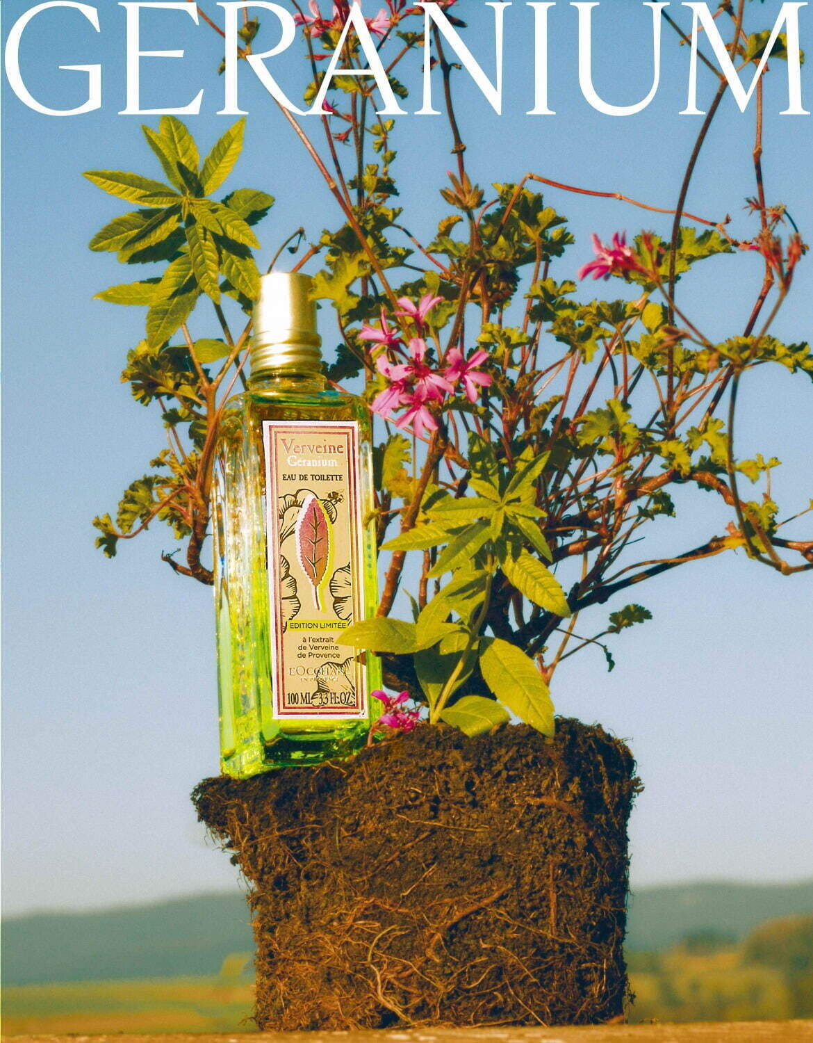 عطر ادکلن ورون ژرانیوم لوکسیتان - Verveine Geranium L'Occitane en Provence - بررسی، قیمت و خرید