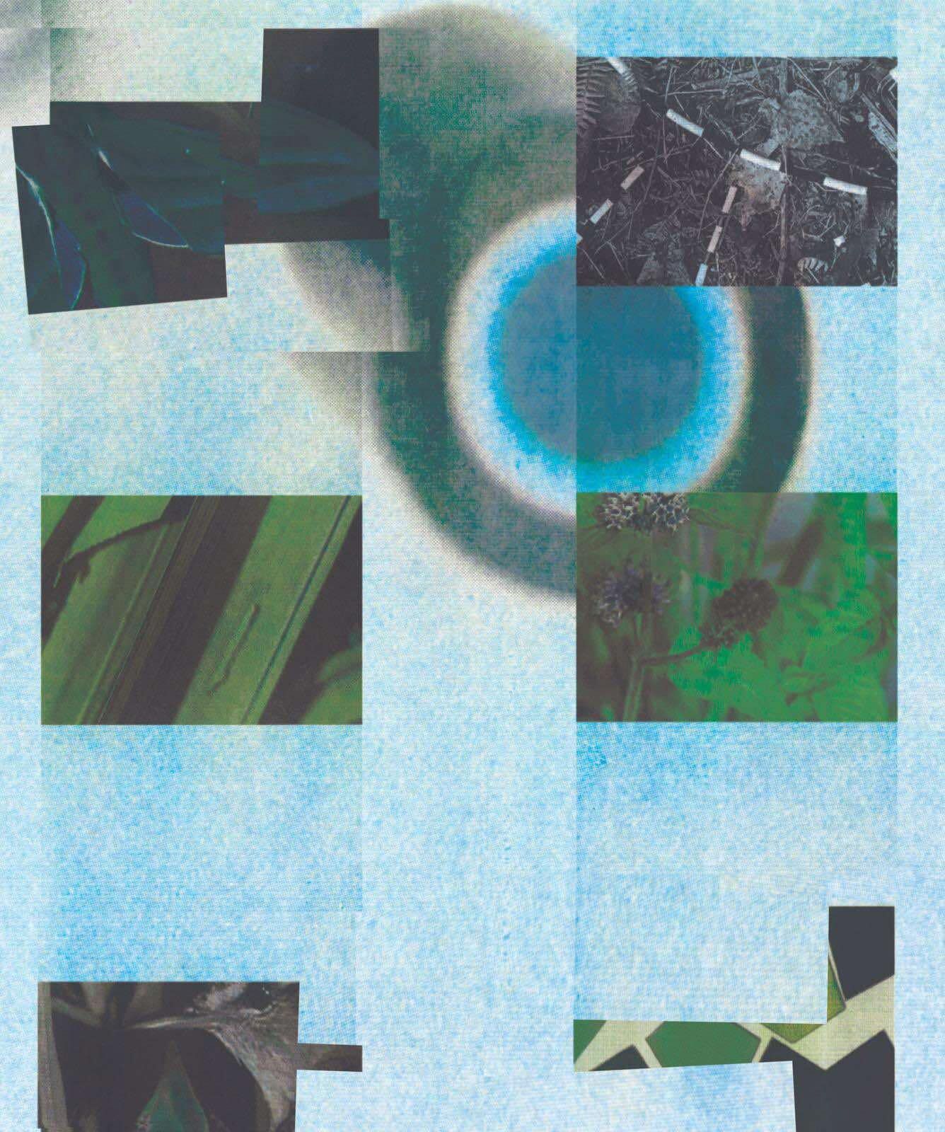 عطر ادکلن سُد مالو - SOD Mallo - بررسی، قیمت و خرید