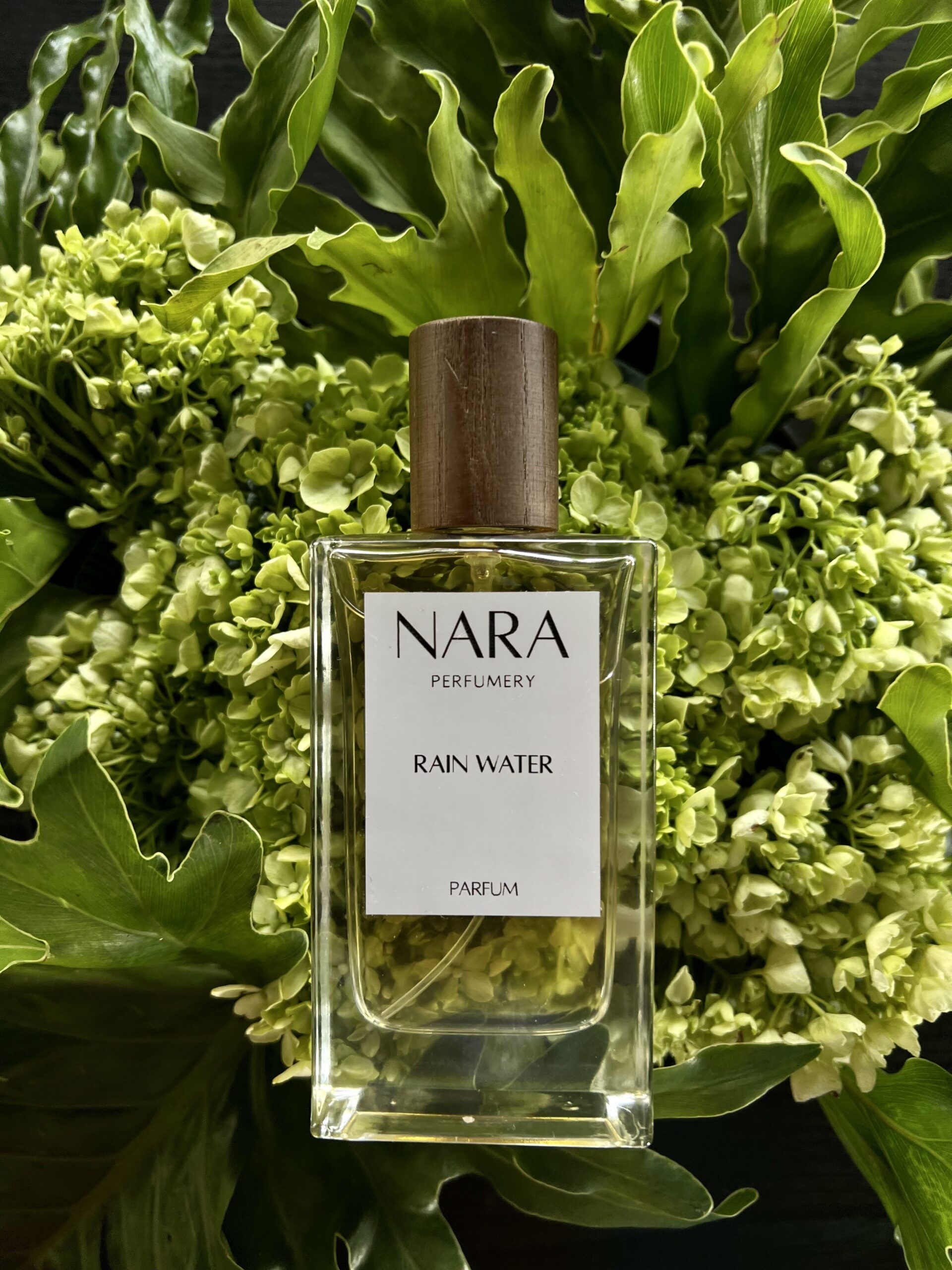 عطر ادکلن رین واتر نارا پرفیومری - Rain Water Nara Perfumery - بررسی، قیمت و خرید