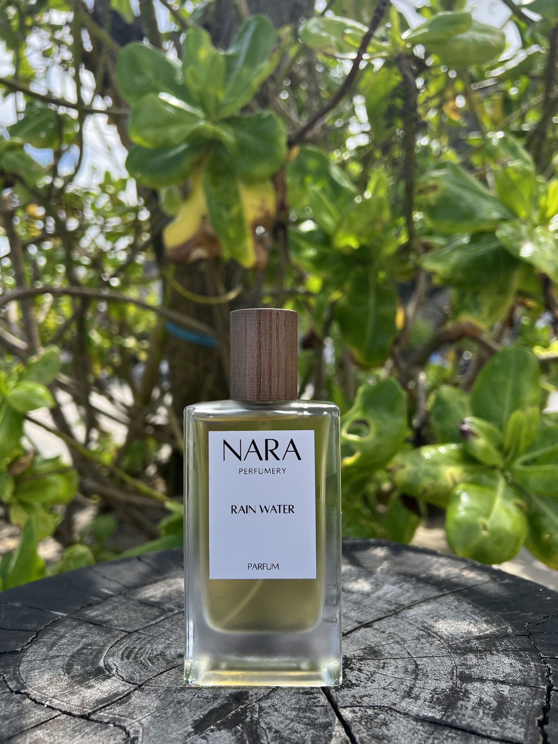 عطر ادکلن رین واتر نارا پرفیومری - Rain Water Nara Perfumery - بررسی، قیمت و خرید