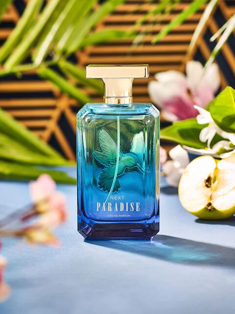 عطر ادکلن پردایس نکست - Paradise Next - بررسی، قیمت و خرید