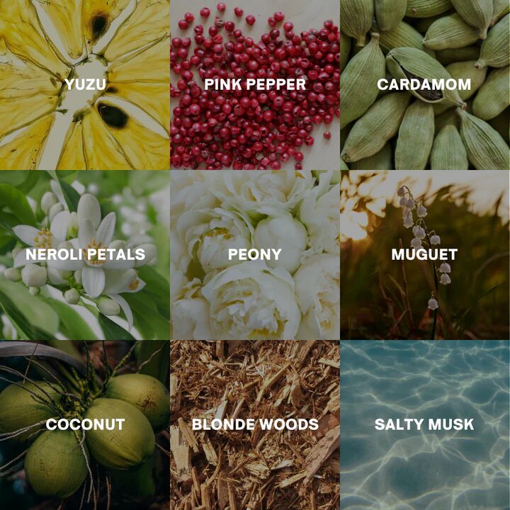 عطر ادکلن برند نیو مودو - Brand New Moodeaux - بررسی، قیمت و خرید