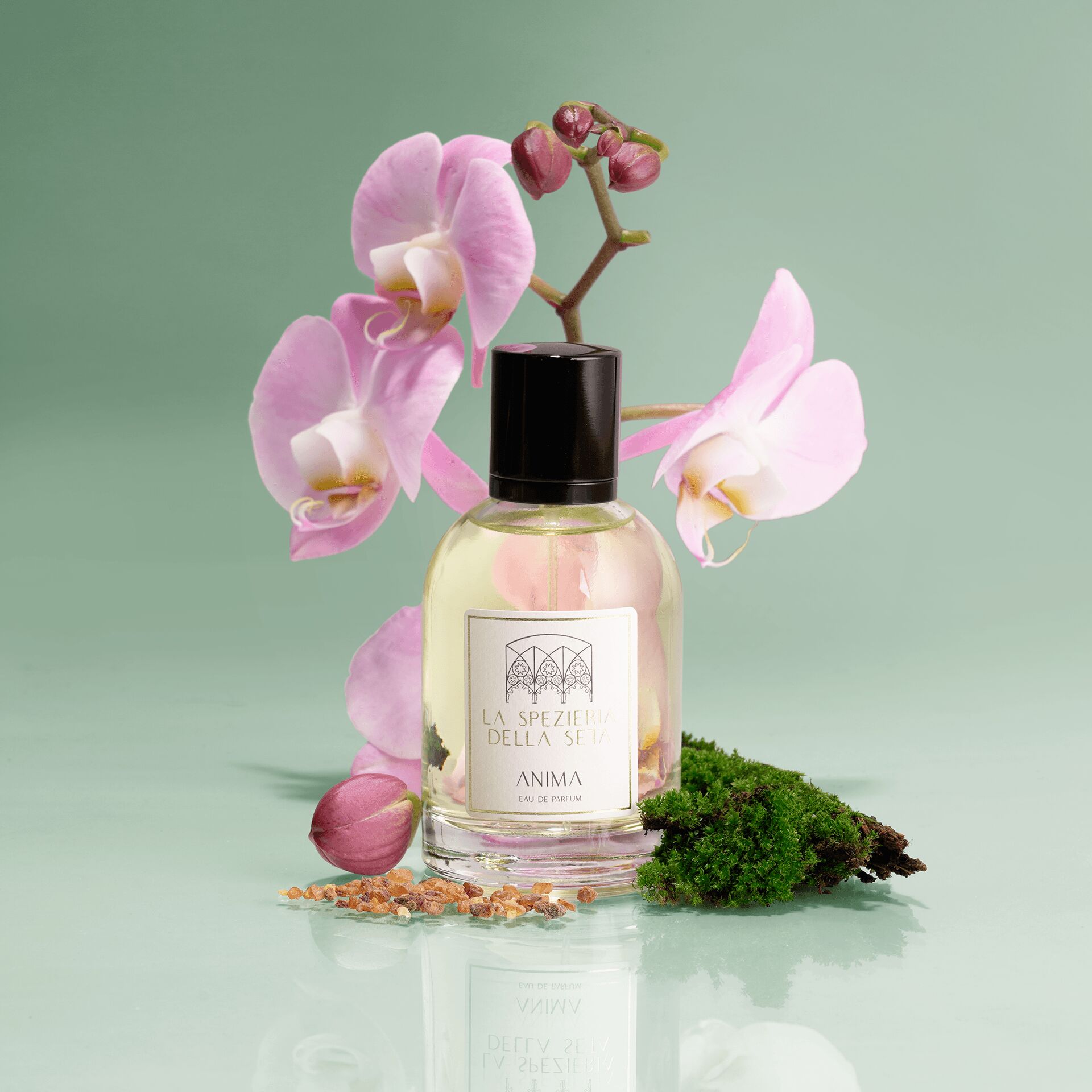 عطر ادکلن آنیما لا اسپتزریا دلا سِتا - Anima La Spezieria della Seta - بررسی، قیمت و خرید