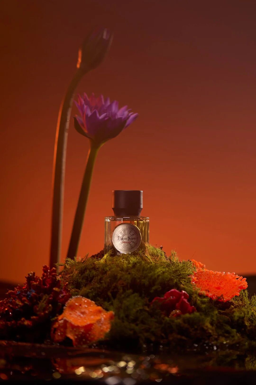 عطر ادکلن دِ کاما پرام سرا - The Kama Param Sara - بررسی، قیمت و خرید