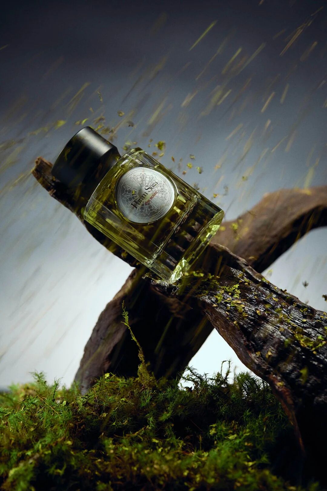 عطر ادکلن دو بودی پارام سار - The Bodhi Param Sara - بررسی، قیمت و خرید