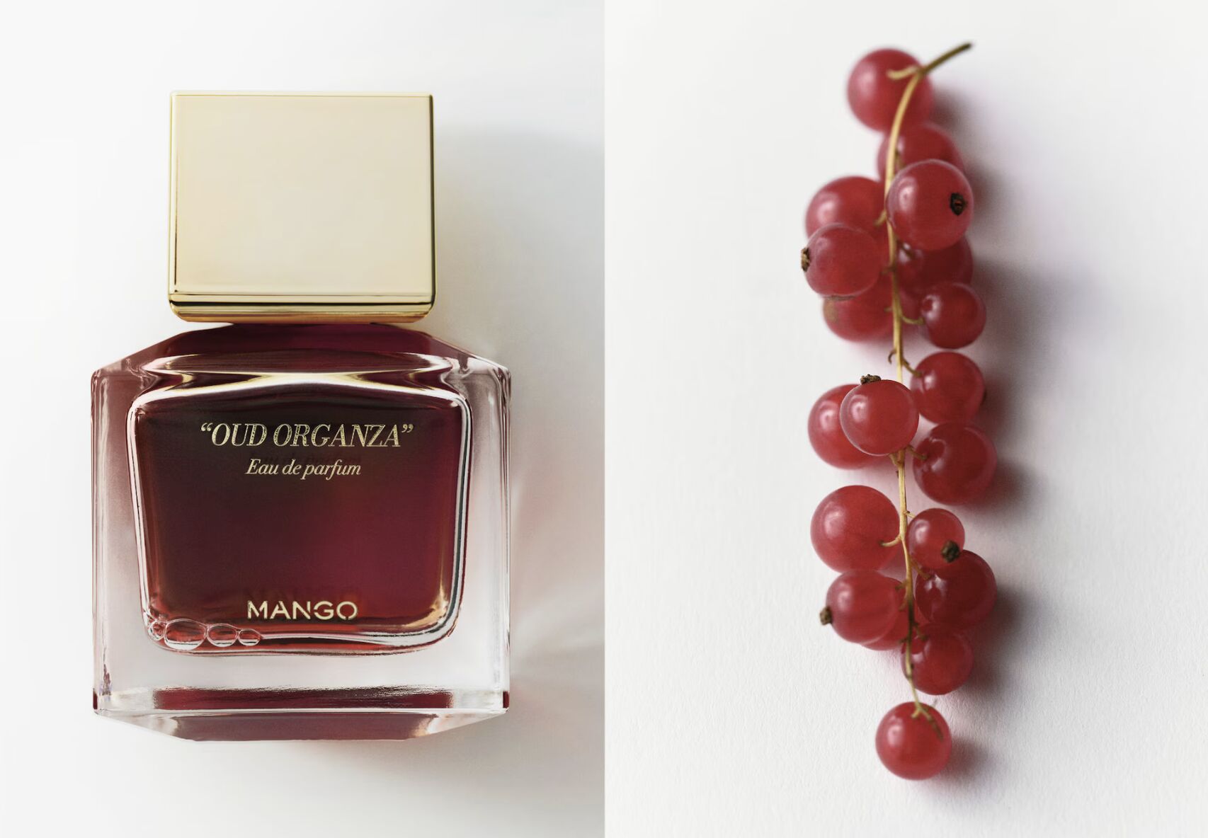 عطر ادکلن عود اورگانزا منگو - Oud Organza Mango - بررسی، قیمت و خرید