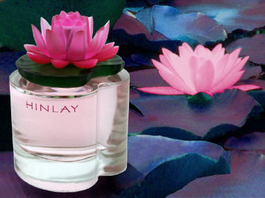 عطر ادکلن هینلی سکسی و زن لورلیان - Hinlay Sexy & Zen Lorelyane - بررسی، قیمت و خرید