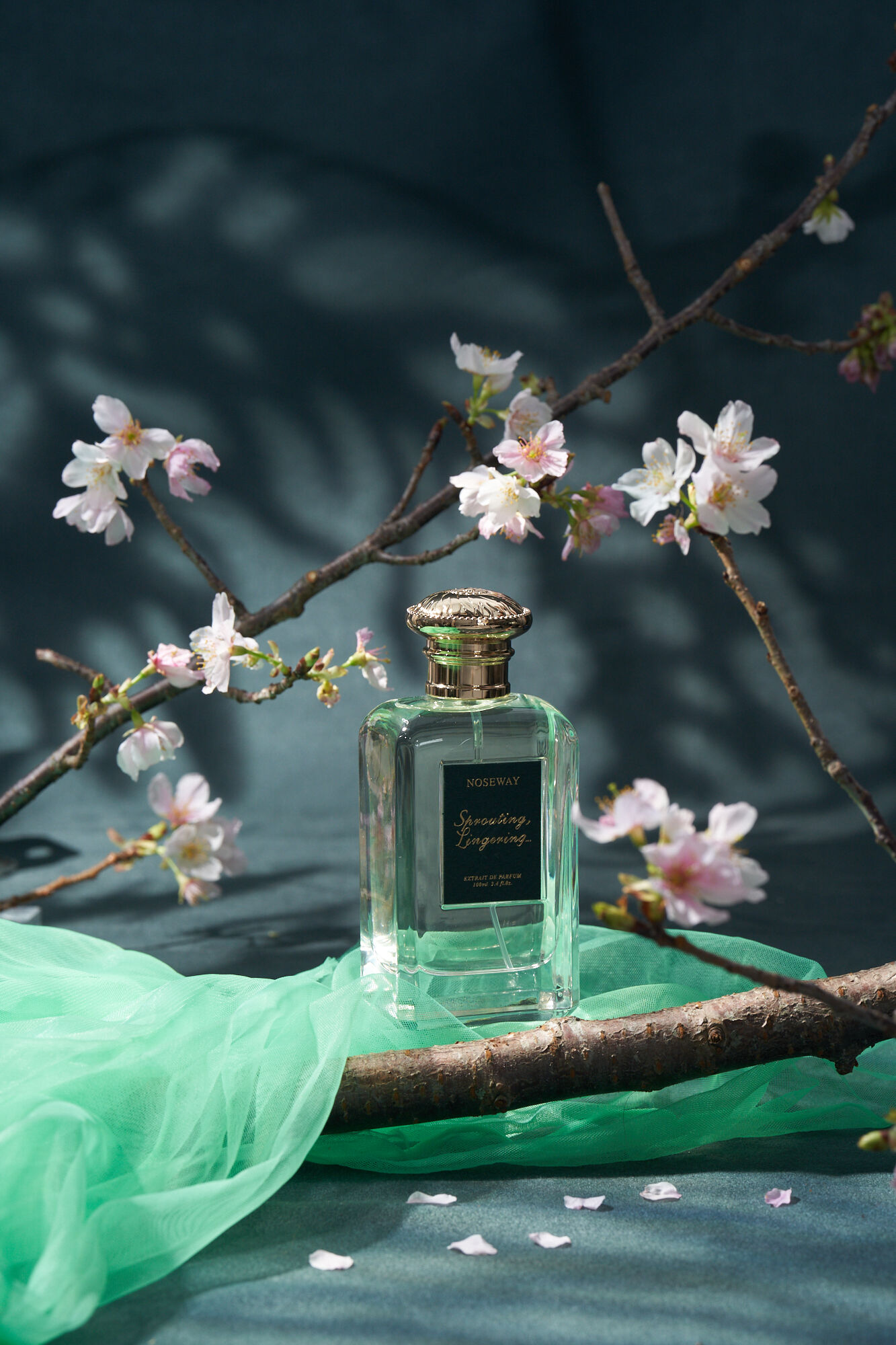 عطر ادکلن اسپرائوتینگ، لینگرینگ نوزوی - Sprouting, Lingering Noseway - بررسی، قیمت و خرید