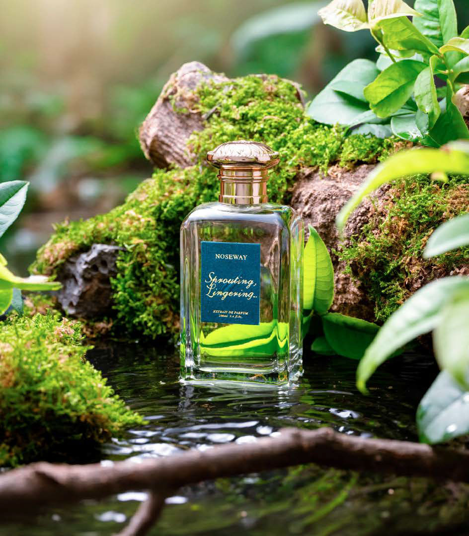 عطر ادکلن اسپرائوتینگ، لینگرینگ نوزوی - Sprouting, Lingering Noseway - بررسی، قیمت و خرید