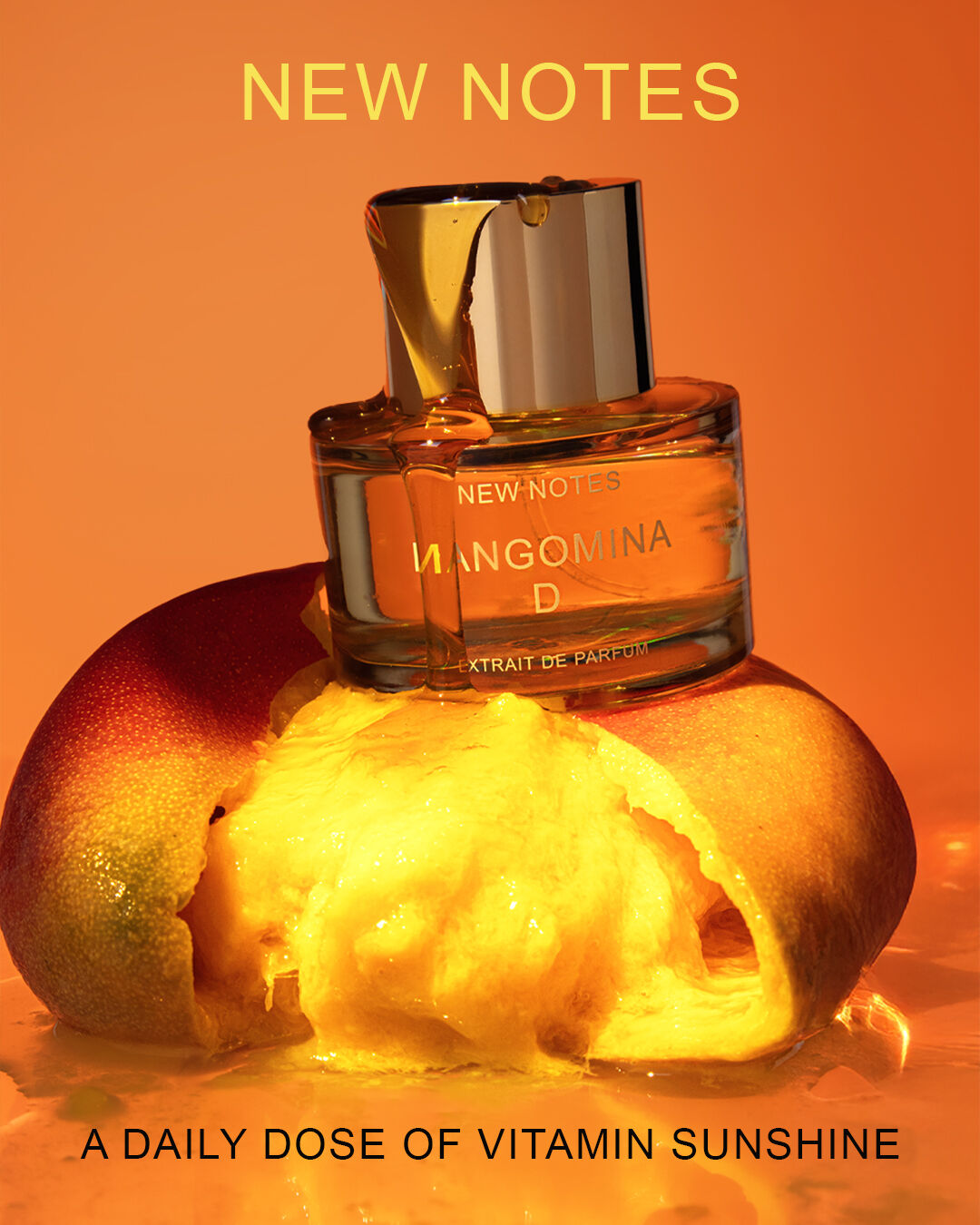 عطر ادکلن منگومینا دی نیو نوتس - Mangomina D New Notes - بررسی، قیمت و خرید