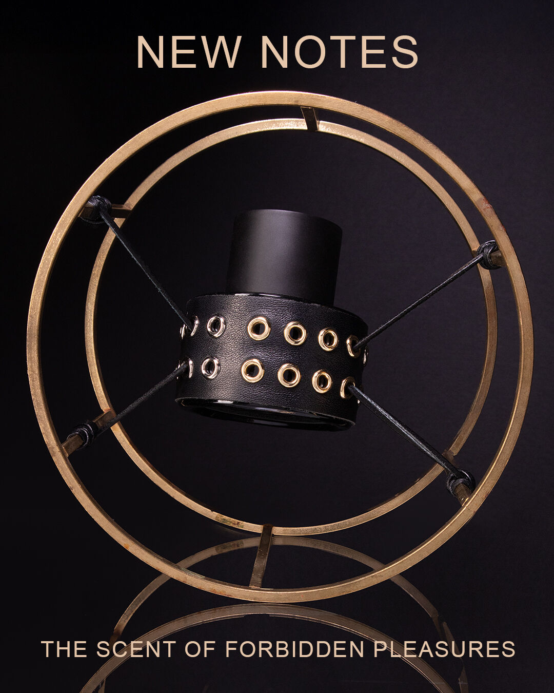 عطر ادکلن اروتیکا ماکسیمال نیو نوتس - Erotika Maximale New Notes - بررسی، قیمت و خرید