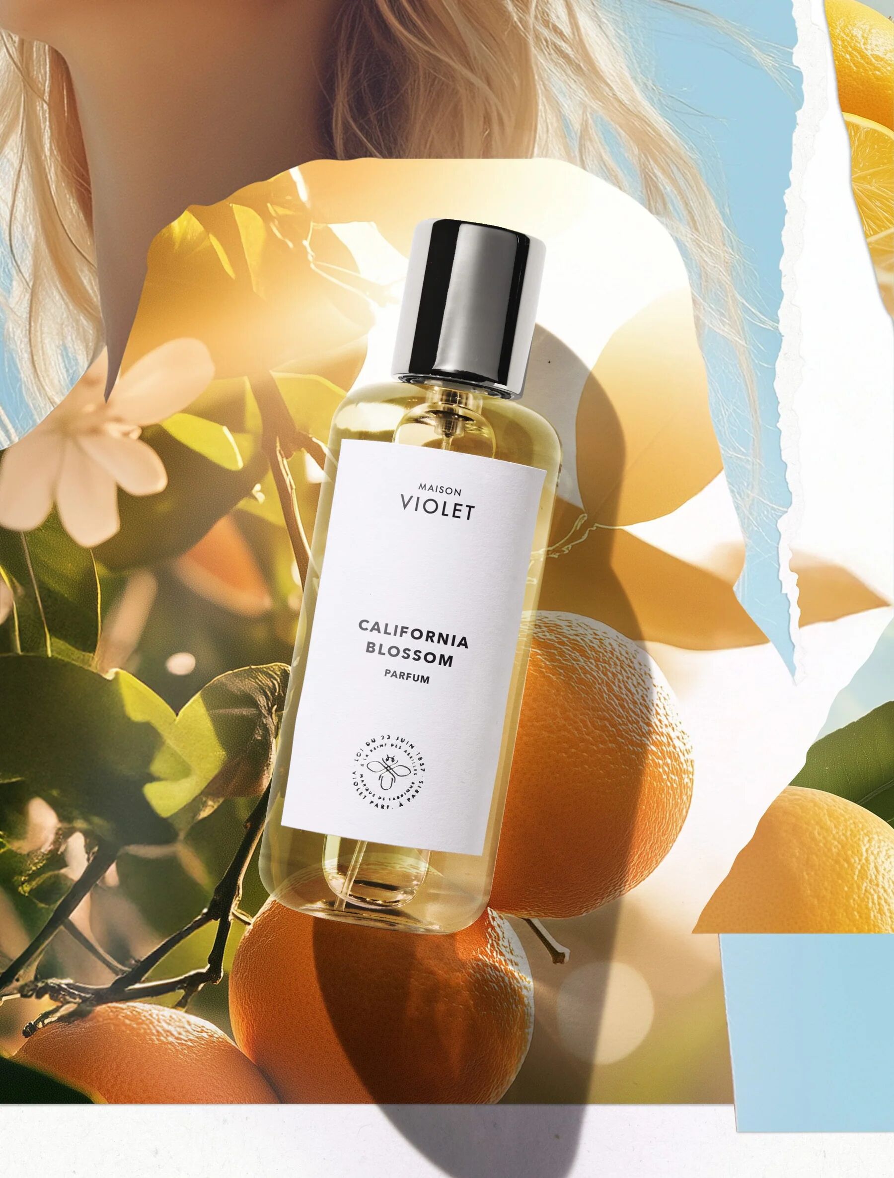 عطر ادکلن کالیفرنیا بلوسوم میسون ویولت - California Blossom Maison Violet - بررسی، قیمت و خرید