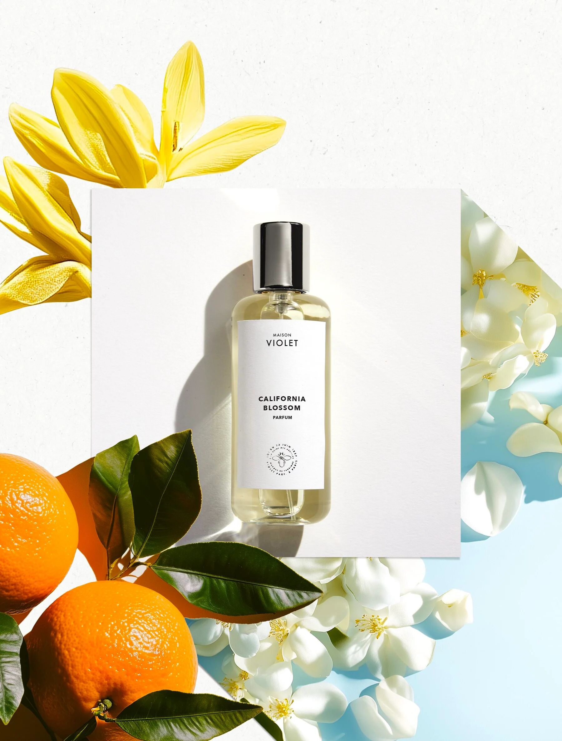 عطر ادکلن کالیفرنیا بلوسوم میسون ویولت - California Blossom Maison Violet - بررسی، قیمت و خرید