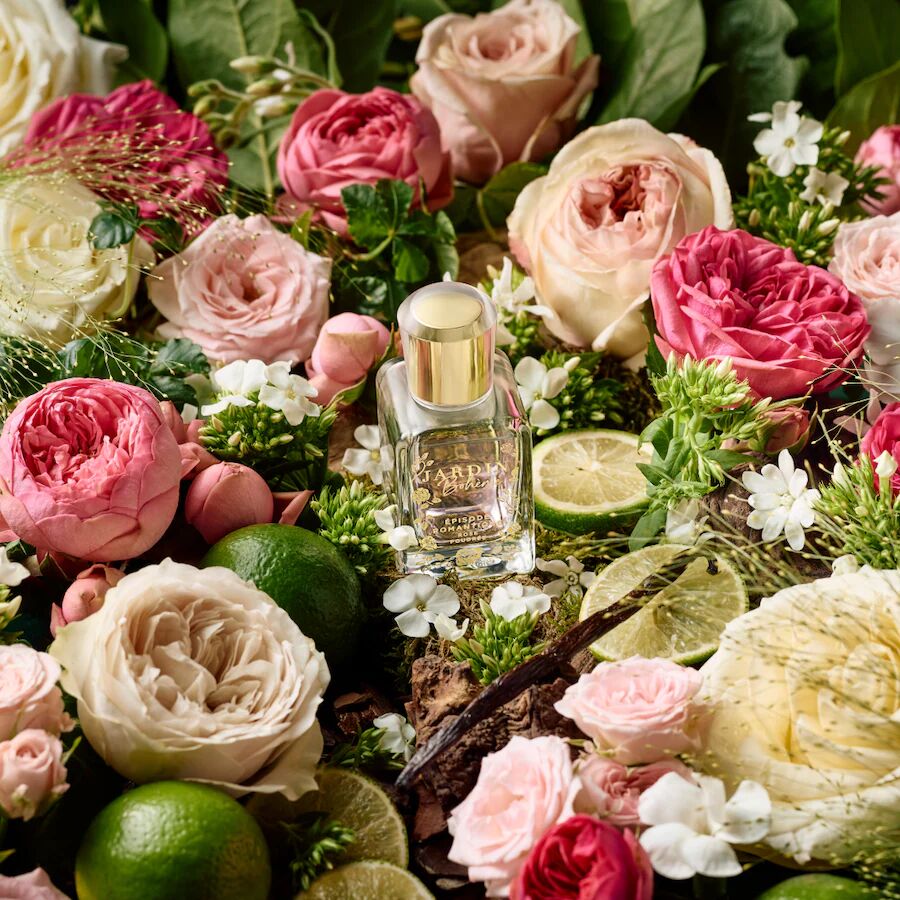 عطر ادکلن اپیزود رومانتیک رز پودره ژاردن بوهِم - Épisode Romantique Rose Poudrée Jardin Bohème - بررسی، قیمت و خرید