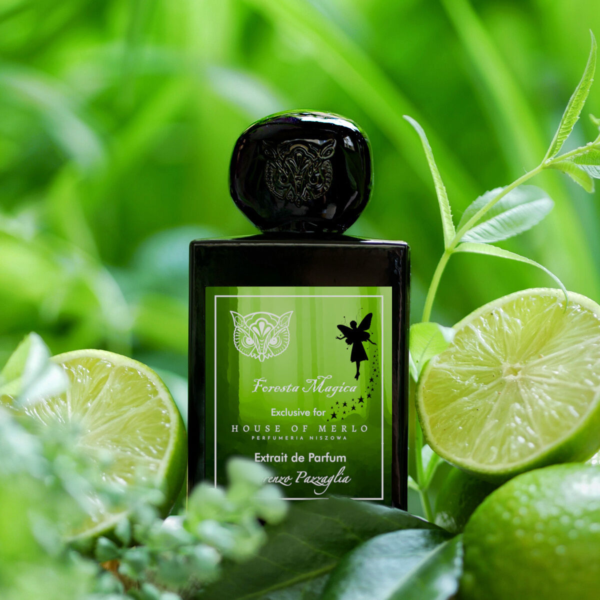 عطر ادکلن فورستا مجیکا لورنتسو پازاگلیا - Foresta Magica Lorenzo Pazzaglia - بررسی، قیمت و خرید