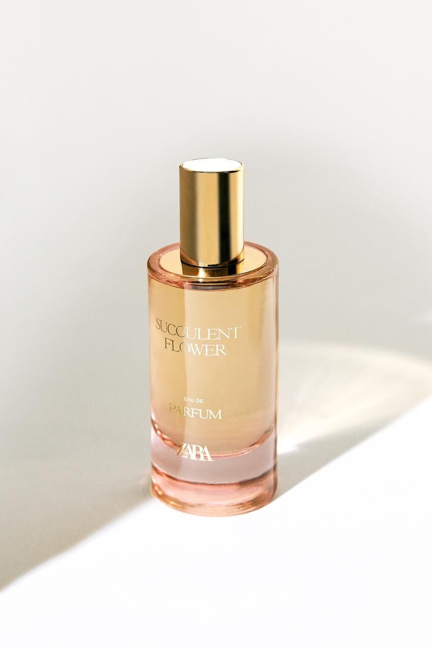 عطر ادکلن ساکولنت فلاور زارا - Succulent Flower Zara - بررسی، قیمت و خرید