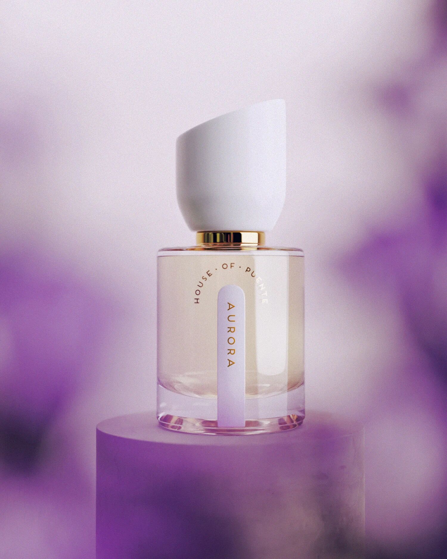 عطر ادکلن آرورا هاوس آو پونته - Aurora House of Puente - بررسی، قیمت و خرید