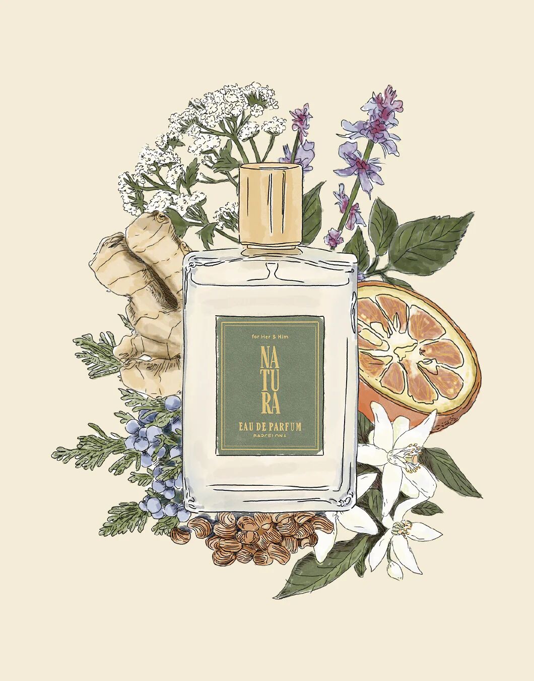 عطر ادکلن ناتورا ادو پرفیوم ناتورا سلکشن - Natura Eau de Parfum Natura Selection - بررسی، قیمت و خرید