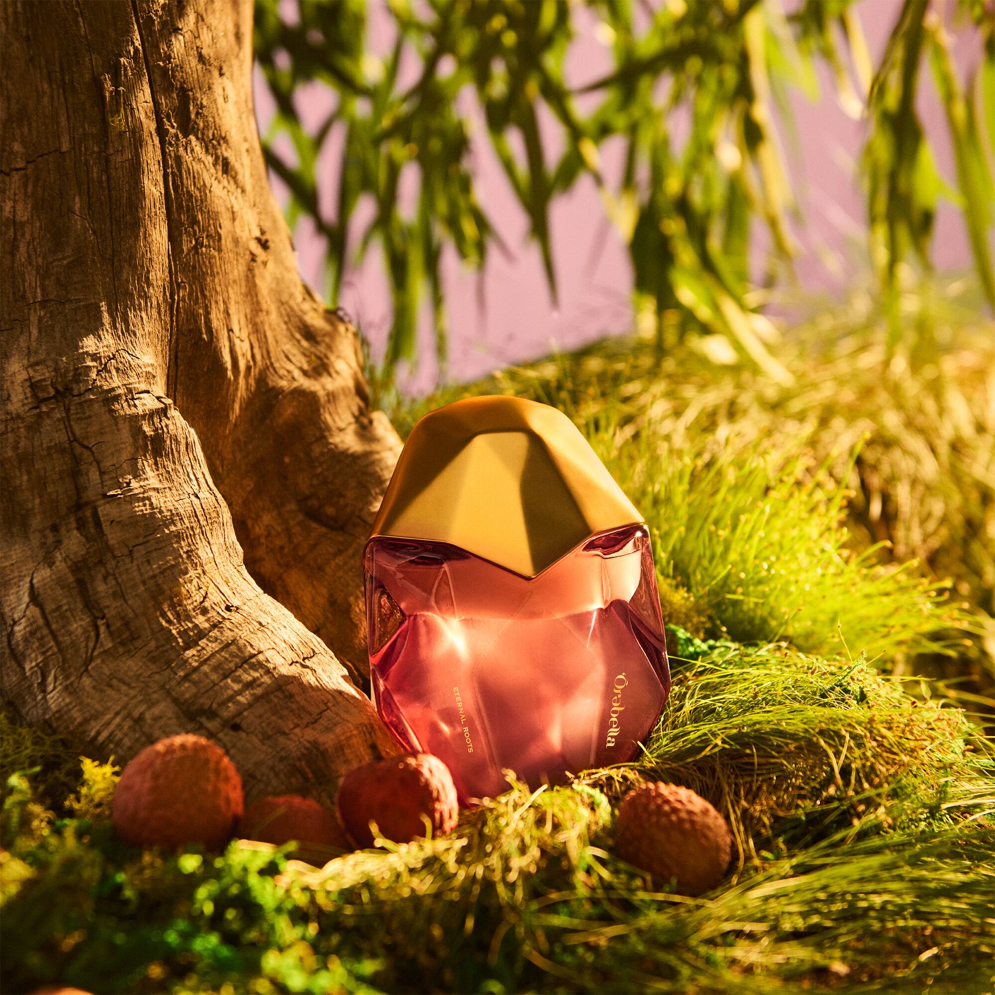 عطر ادکلن ایترنال روتز اوربلا - Eternal Roots Orebella - بررسی، قیمت و خرید