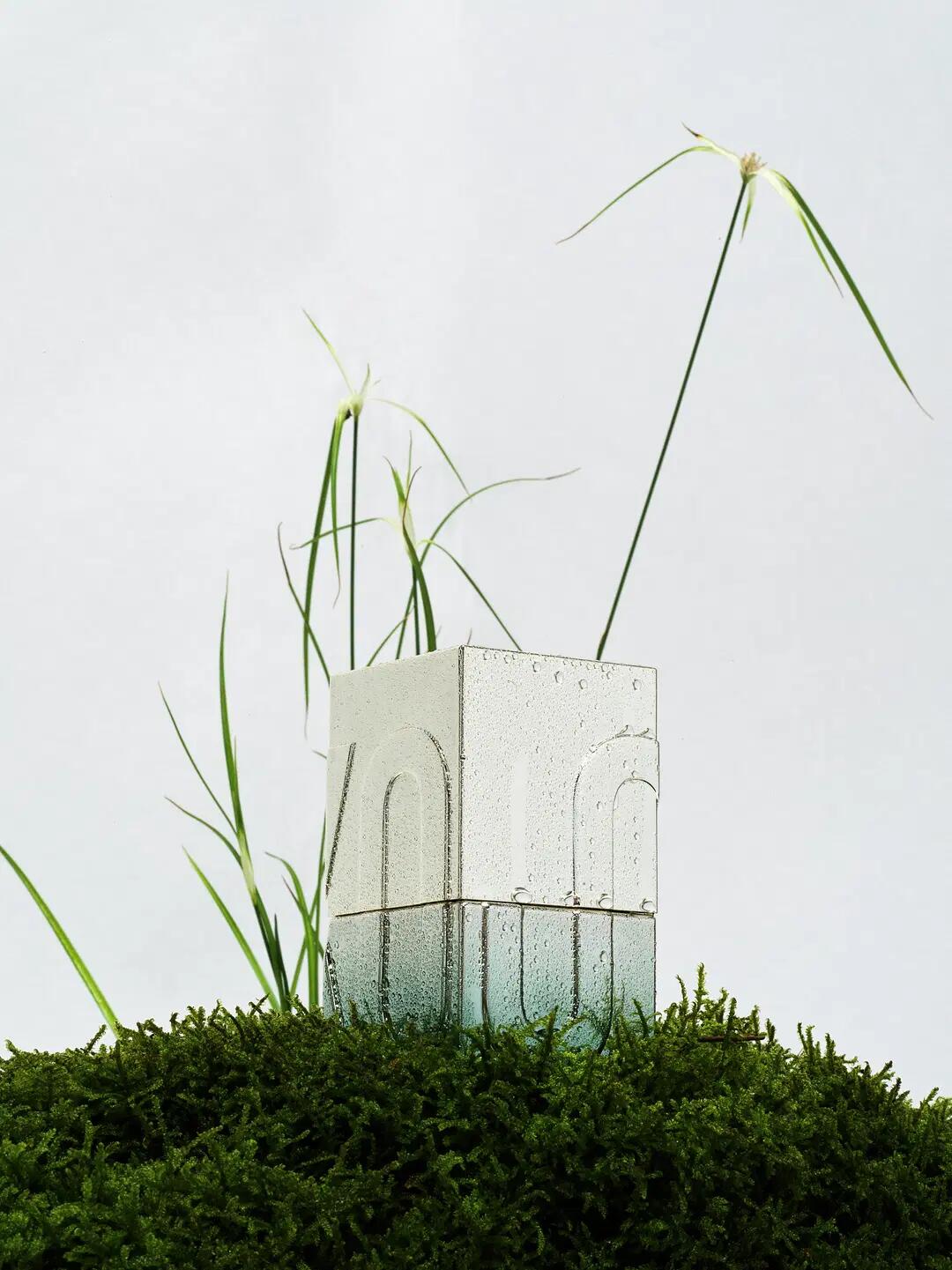 عطر ادکلن وت فورست ناون آن ناون - Wet Forest nown unown - بررسی، قیمت و خرید