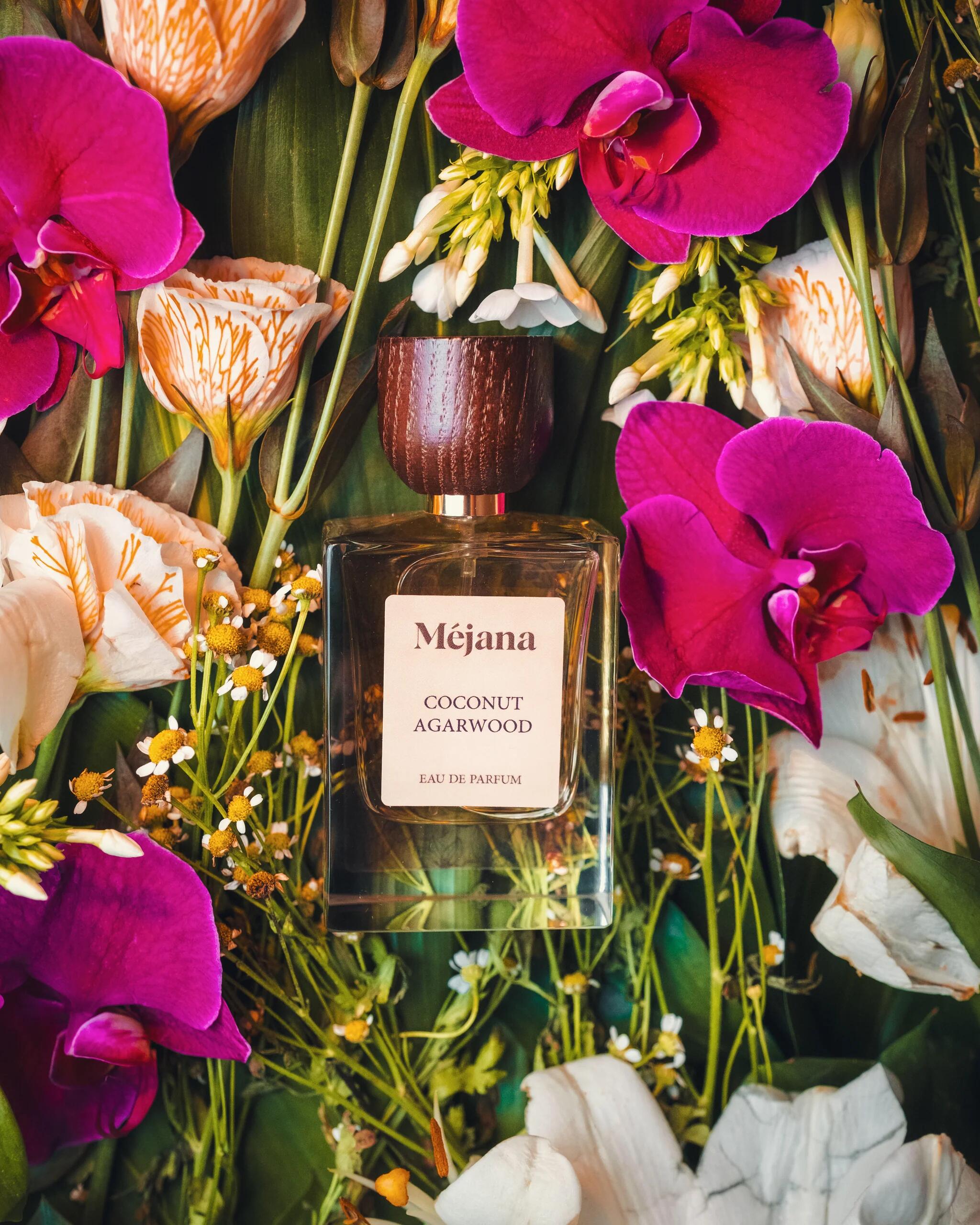 عطر ادکلن کوکونات آگارود میژانا فراگرنسز - Coconut Agarwood Méjana Fragrances - بررسی، قیمت و خرید