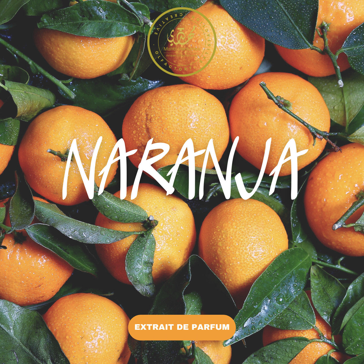 عطر ادکلن نارنجا مهدی پرفیومز - Naranja Mahdi Perfumes - بررسی، قیمت و خرید