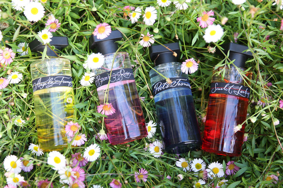 عطر ادکلن اسکارلت لارکسپور اینه‌که - Scarlet Larkspur Ineke - بررسی، قیمت و خرید