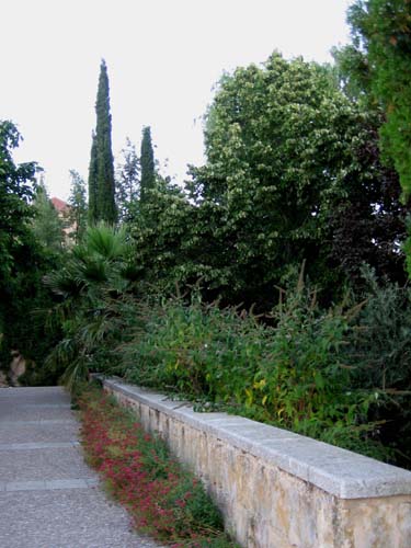 عطر ادکلن سیام پرون اولمپیک اورکیدز آرتیزن پرفیومز - Siam Proun Olympic Orchids Artisan Perfumes - بررسی، قیمت و خرید