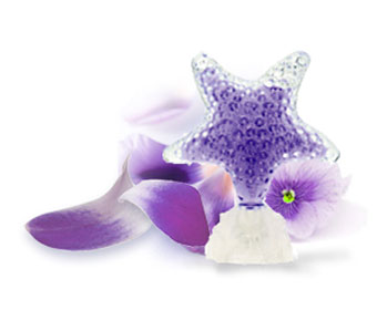 عطر ادکلن استار اینتنس وایولت سی‌جولز - Star Intense Violet Seajewels - بررسی، قیمت و خرید