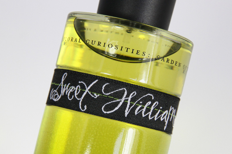 عطر ادکلن سوییت ویلیام اینه‌که - Sweet William Ineke - بررسی، قیمت و خرید