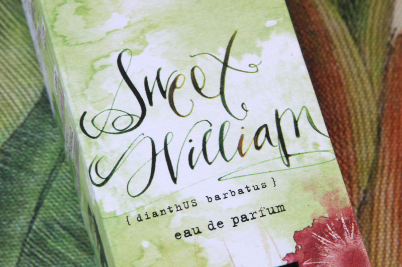 عطر ادکلن سوییت ویلیام اینه‌که - Sweet William Ineke - بررسی، قیمت و خرید