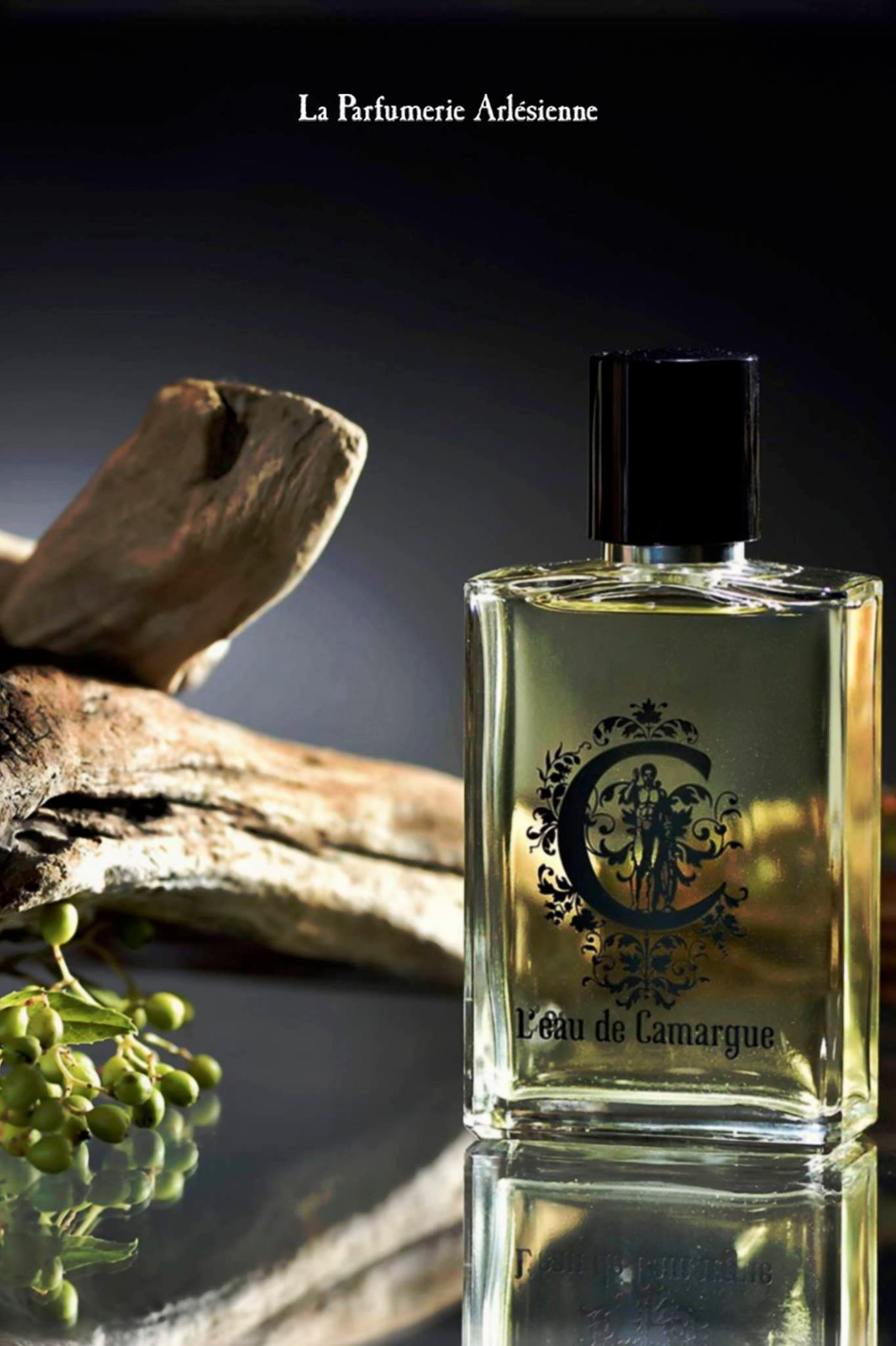 عطر ادکلن لو دو کامارگ لا پرفیومری آرلزی‌ان - l’eau de Camargue La Parfumerie Arlesienne - بررسی، قیمت و خرید