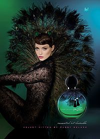 عطر ادکلن پوسی دیلوکس ولوت کیتن پوسی دلوکس - Pussy Deluxe Velvet Kitten Pussy Deluxe - بررسی، قیمت و خرید