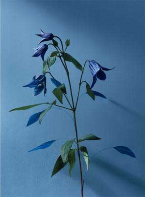 عطر ادکلن ل ایر دو تام لو کقپوسکول نینا ریچی - L'Air du Temps Le Crépuscule Nina Ricci - بررسی، قیمت و خرید