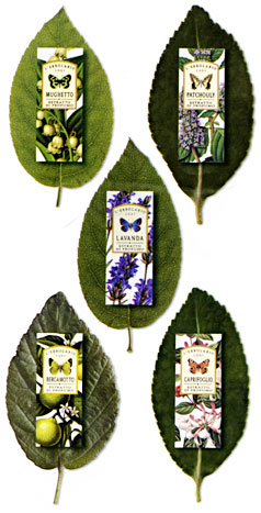 عطر ادکلن آکوا دی پروفومو ال موشکیو بیانکو لربولاریو - Acqua di Profumo al Muschio Bianco L'Erbolario - بررسی، قیمت و خرید