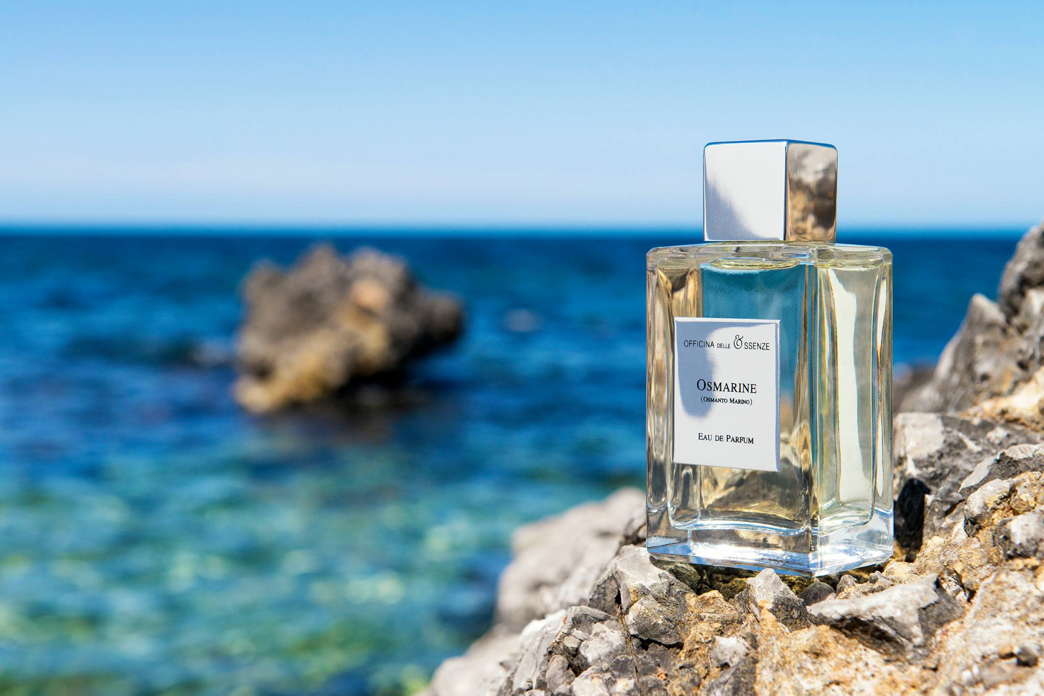 عطر ادکلن اوسمارین اوفیسینا دل اِسِنزِ - Osmarine (Osmanto Marino) Officina delle Essenze - بررسی، قیمت و خرید